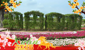 Large image anh minh hoa tet