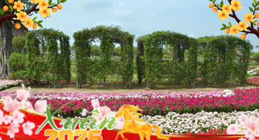 Larger image anh minh hoa tet