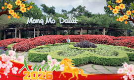 Large image anh minh hoa tet1