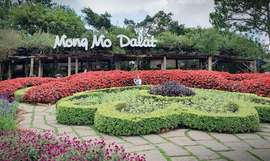 Large image doi mong mo da lat 15