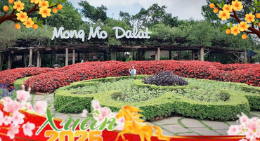 Larger image anh minh hoa tet1