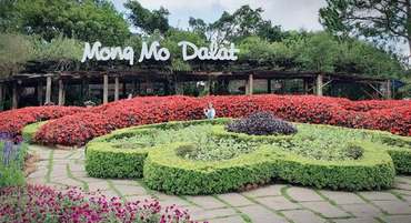 Larger image doi mong mo da lat 15