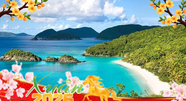 Larger image anh minh hoa tet