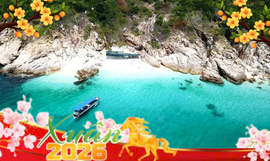 Large image anh minh hoa tet