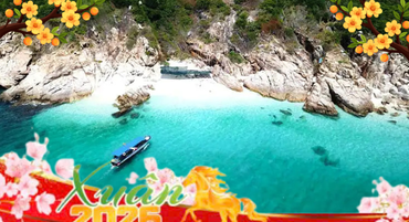 Larger image anh minh hoa tet